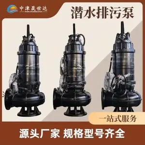 一体化泵站配套污水泵 中津晟世达 SSD80WQ60-30-11kw潜水排污泵