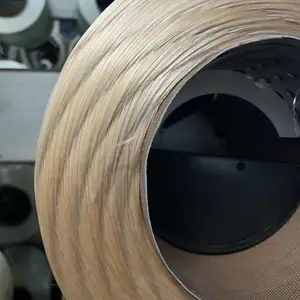玻纤聚丙烯复合纤维TWINTEX ROVING （PP+FIBERGLASS) CH-PP60/1870N