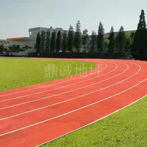 学校塑胶跑道每平多少钱-临沂学校塑胶跑道-济南鼎诚专业施工