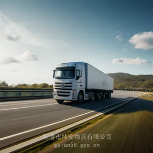 ���е��ٺ��л���ר��2024�㵣���췢��