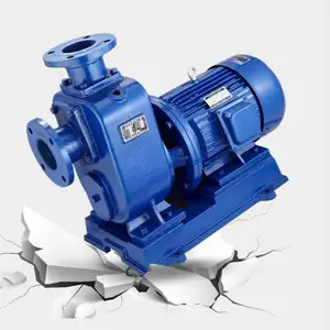 �������������۱� 50ZXL18-20ֱ��ʽ�������ˮ������