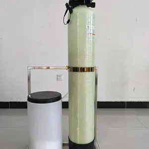 1吨/小时自动软水机 小型软水器 家用别墅庭院软水机 锅炉软化水设备