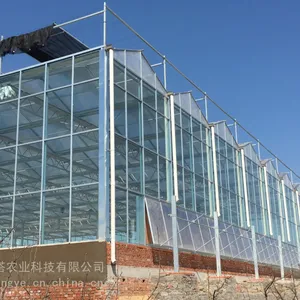 阳光板温室造价 阳光板温室一站式设计施工 阳关板蔬菜温室建造