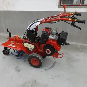 ���ٵ���ˮ������԰������ ��� 186�Ͳ������п�����