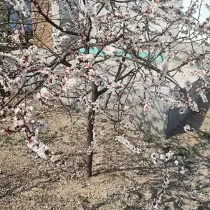 4������������ 5���������۸� �����õĸ߸�����