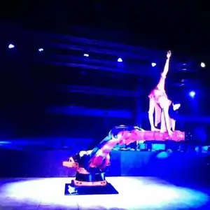 鸡尾酒调酒机器人租赁、自动咖啡机器人租赁、机械臂表演、演艺机器人