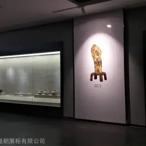 ����걾չ����չ��/�������/�������������