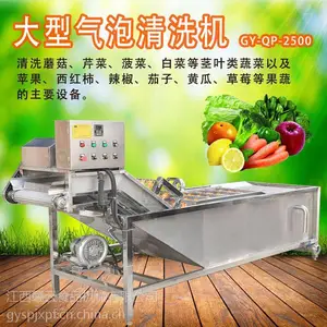 赣云牌大型洗菜机 自动水果蔬菜清洗机 气泡清洗机