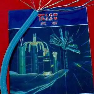 CPEV��CPEV-S����ͨ�ŵ���