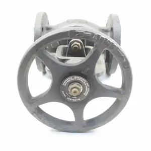 MILWAUKEE VALVE��ֹ����������F-2981-M���ֱ�������Ʒ