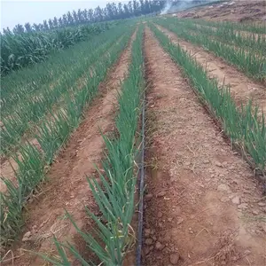 ������ˮ��ȹܲ��豸�ز�΢��ͷ���͵�ȽϹ��