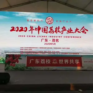 �㶫����������ʽ���߶��������޻���������Ƹ˻���4������