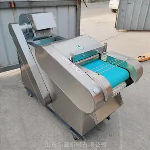 �³�ѧУ�����������п�� ��������˿�� ����ľ��������˿������