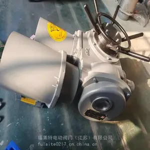 DZW20-24-100-WK�����ŵ綯��ִ�л���DZW30-24-100-WK�綯װ��