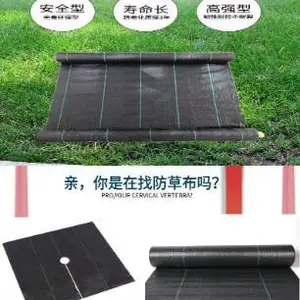 TGSG塑料双向土工格栅