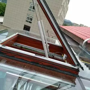 ����������ʽ�綯��������Ӧ