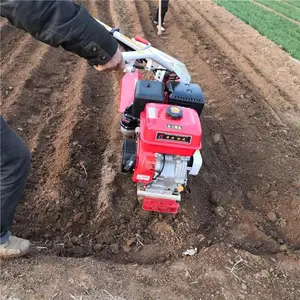 ũ��������¢������ ʡ���ַ��˹������� ��ֲС�Ϳ�����