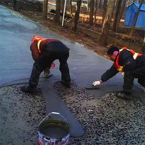 ����վС��·��¶���ѷ쿹���;û�������·�����޲�