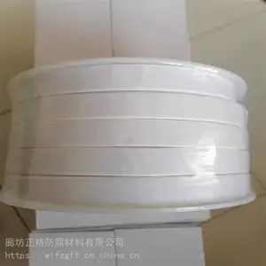 PTFE膨胀海绵条白色四氟弹性带30*5膨体四氟带 自粘膨胀带