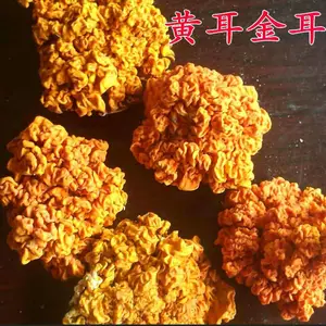 彝山香大量批发供应批发金耳黄耳食用菌干货