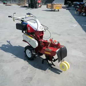 ���***������ ʥ³�Ƹ���԰ʩ�ʿ����� �ƽ����ֿ�����