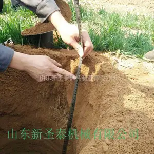 3.12��ֲ���� ������ӻ� �������ڿӻ�