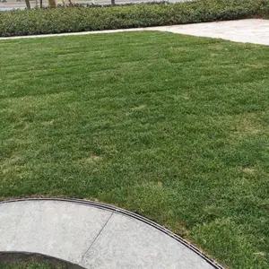 �����������ˮ���ǰ�