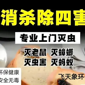 游轮 货船 除蟑螂灭蚊蝇除跳蚤灭鼠 消杀除四害 快速上门免费勘察