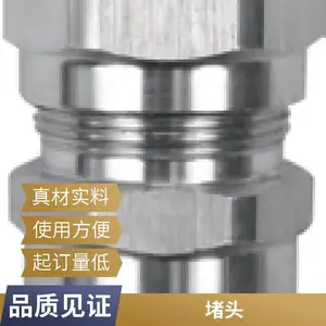 不锈钢防爆电缆夹紧密封接头304防水 接管铠装格兰头填料函NP内外