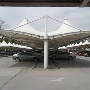 �ȳ�ͣ���ﶨ��Ĥ�ṹ����