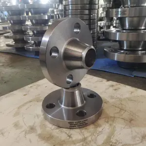 ����˫��ָ�ѹ���� 2507����ƽ�� DN300 2205���� ä��