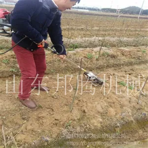 �Ĵ��綯����ʽ�ų���԰���ݻ����