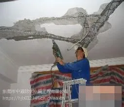 东莞加固工程,东莞防水工程, 专业防水补漏工程
