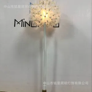 新款发光蒲公英球舞台表演道具工厂铭星专业定制电池软管蒲公英灯