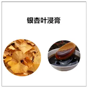 银杏叶浸膏 提取液 多规格可定制 棕褐色半流体 沃特莱斯生物