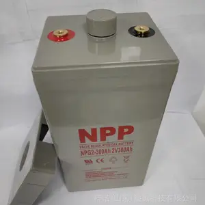 ����NPP����NP2-300 2V300AH UPS/EPSֱ�����������