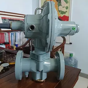 ȼ����ѹ�� 299H��ѹ�� ����RAYGAS ��������
