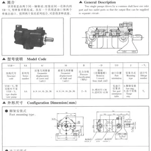 YYB-AA6/6B-Y2,YYB-AA6/9B-Y2,��ѹ˫��ҶƬ��