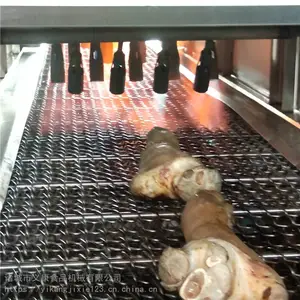 义康牌鸡头液化烧毛机 网带式鸭头烧毛机 鸡腿鸭腿烧毛机
