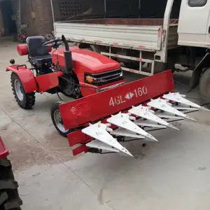 ��԰ũ�ø��ػ� ���������������������� �Ͱ��͵���С������������