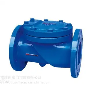 河北泊头H44X橡胶瓣止回阀