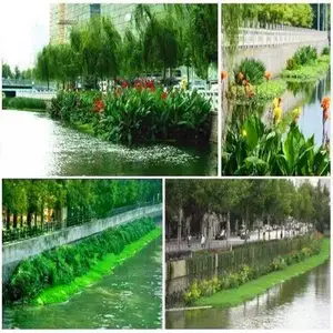 �нӸ���ˮ��ֲ�︡���ӵ��̻���ˮֲ����̬���������̻�����