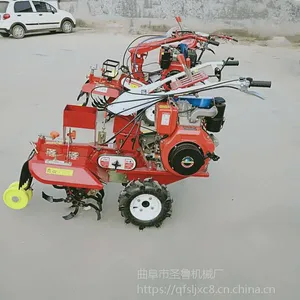 ��ǳ�ɵ���и����� С��ũҵ��е ��п���������