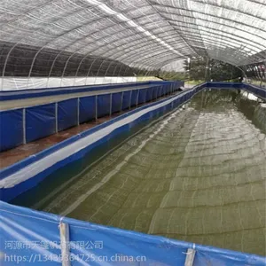 天篷帆布刀刮布水池、小龙虾养殖帆布水池、大棚养殖加厚帆布鱼池