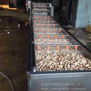 定做 梅干菜雪菜清洗设备小型中药材气泡喷淋清洗机 厂家直销
