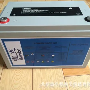 英国 霍克免维护蓄电池NP65-12RFR 12V65AH Genesis蓄电池12V65