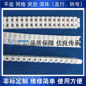 提供 上海双排工程塑料链条厂家报价 帛朗供