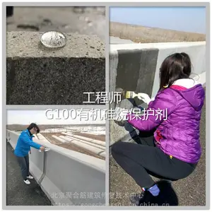 ��Ӫ�����ӹ�͸�������л������ˮЧ�����
