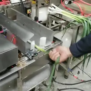 ���ȥƤ�� ����Ƥ���� ��а�Ƥ������Ǯ ��������