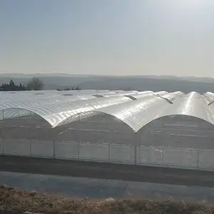 ϣ��PEP����Ĥ���� �޵�Ĥ�۸� ����Ĥ �г��ϵ���Ĥ����
